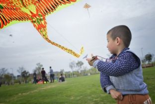 放風(fēng)箏,古詩,詩句