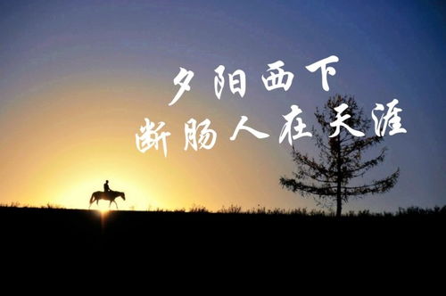 最孤獨的人猜古詩句