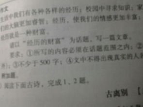 關(guān)于經(jīng)歷是財(cái)富的詩(shī)句