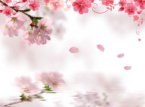 詩(shī)句,五級(jí)