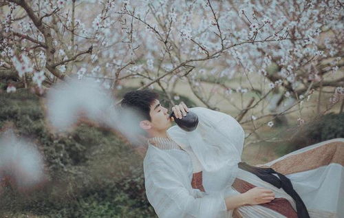 關(guān)于白衣少的詩(shī)句