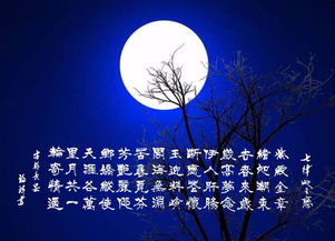 關(guān)于通過月亮來思念家鄉(xiāng)的詩句