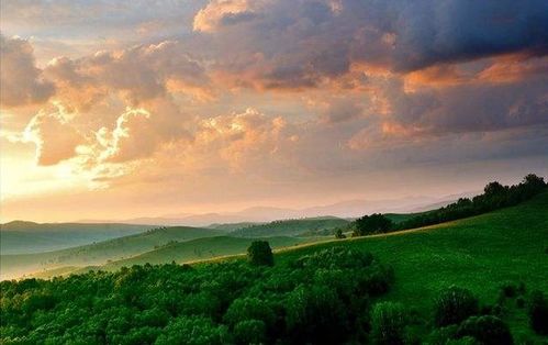 詩句,詩中,夏天,有哪些