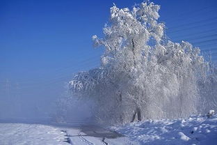 關(guān)于冬天的詩句30首