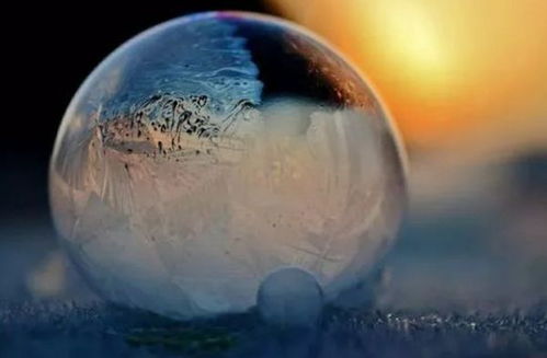 有關(guān)于樹立志向的詩(shī)句