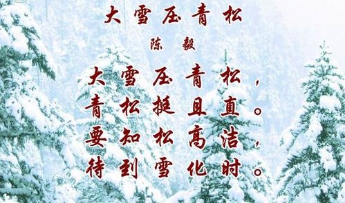關(guān)于青松的詩句古詩詞