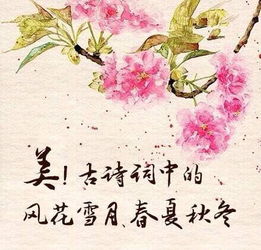 夏天描寫成長(zhǎng)的詩(shī)句古詩(shī)詞