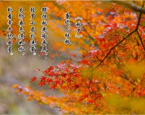 秋天的詩句七言古詩