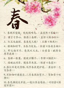 寫鳥的詩句古詩詞,寫朋友的詩句古詩詞,寫天空的詩句古詩詞