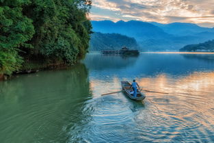 思鄉(xiāng)、懷古詩句