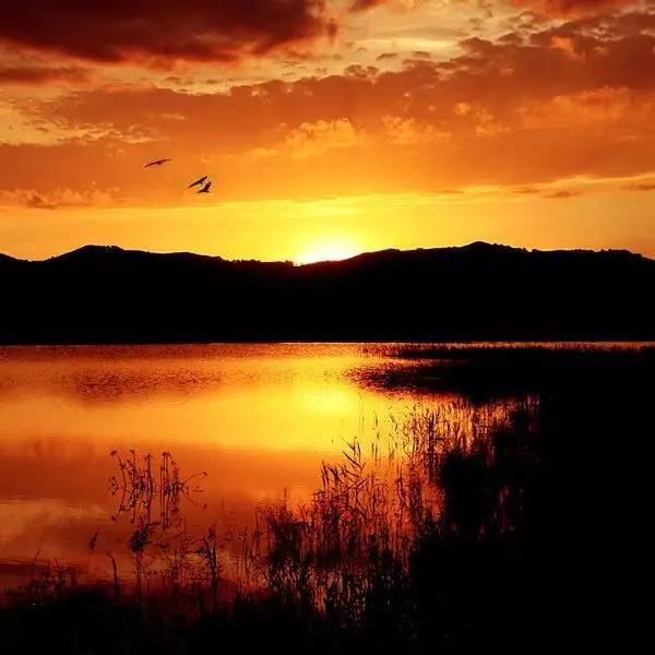 描寫秋月的詩句古詩詞