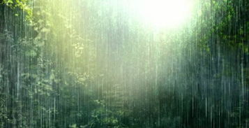 關于春風詩句分類