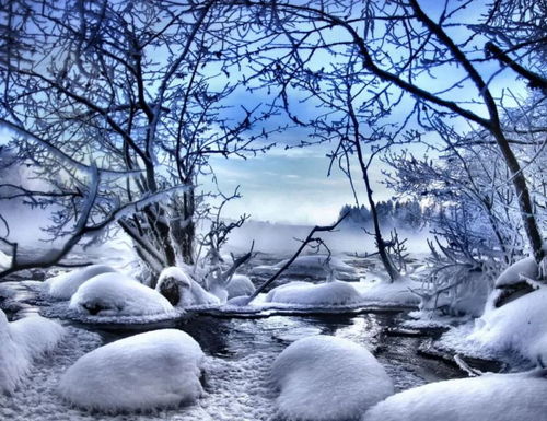 中國(guó)古代關(guān)于雪的有名的詩(shī)句