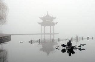 詩句,西湖,大全