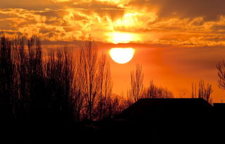 描寫日月的古詩句詩句