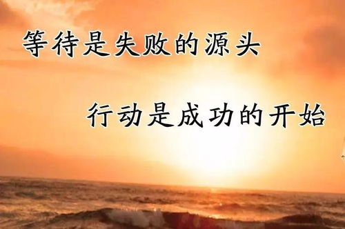 關(guān)于付出能升華自身的詩句