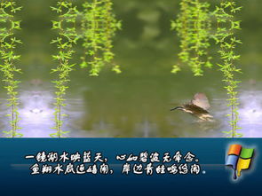 關于映碧波的詩句