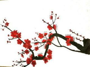 有花字的詩句古詩,關(guān)于花的詩句古詩,關(guān)于花的唯美詩句古詩