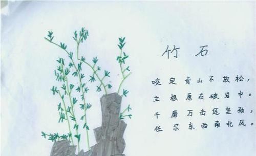 關(guān)于雨的詩句表達(dá)了