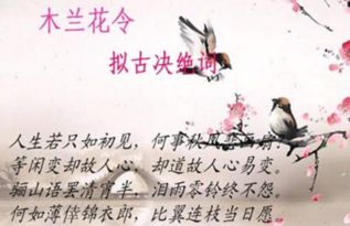 指明路的關(guān)于愛情可悲詩句