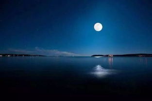 關(guān)于月亮表達思念家鄉(xiāng)的詩句有哪些,用月亮表達思念家鄉(xiāng)的詩句,望著月亮思念家鄉(xiāng)的詩句