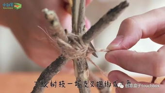 關(guān)于燈籠的簡(jiǎn)短詩(shī)句