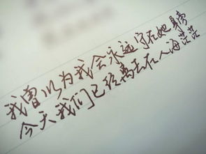 關(guān)于花的悲傷的詩句大全