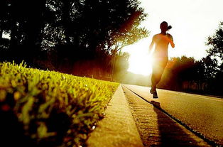 關(guān)于早起鍛煉的詩(shī)句