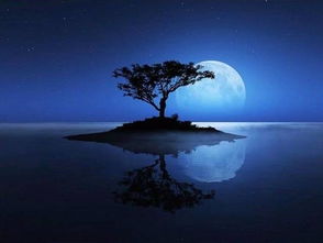 白居易關(guān)于月光的詩句