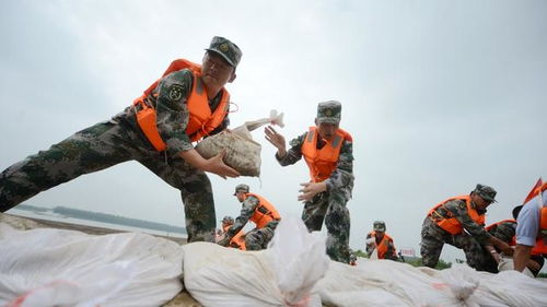 抗洪救災(zāi)古詩(shī)句