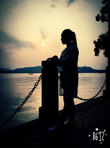 關(guān)于愛(ài)情帶飛字的詩(shī)句