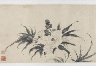 關(guān)于墨菊的詩句