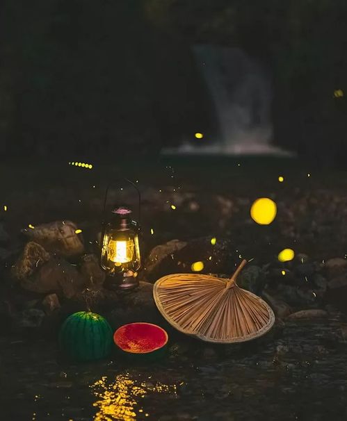 關于夏天乘涼的詩句