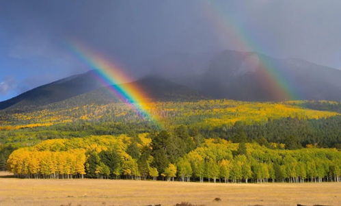 關(guān)于風(fēng)雨后見彩虹的古詩句