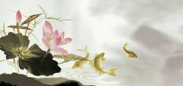 關(guān)于荷花國畫上的的詩句