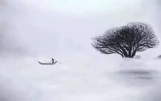 關(guān)于春風(fēng)的雨的詩(shī)句有哪些