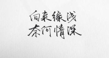 關(guān)于緣詩句,緣的詩句,與緣有關(guān)的詩句