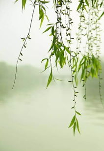 詩(shī)句,急促,水流