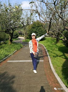 關于淮安洪澤湖的贊美詞和詩句