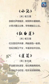 關(guān)于夏天天氣美的詩句有哪些