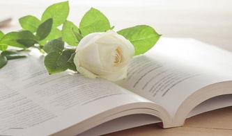 關(guān)于研究生生活的詩句