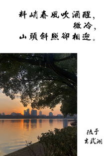 關(guān)于長(zhǎng)安春天贊美花的詩句古詩