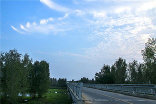 關(guān)于紅山果的詩(shī)句