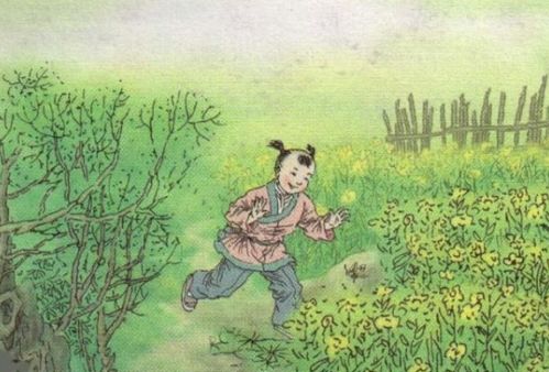 兩句,詩(shī)句,兒童,生活