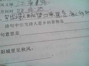 思鄉(xiāng)景的詩(shī)句古詩(shī)詞