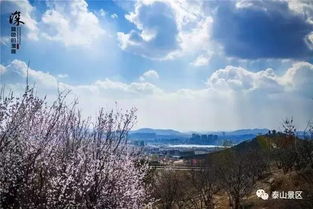 描泰山的古詩(shī)句