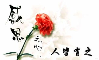 有關(guān)感恩的成語(yǔ)古詩(shī)句