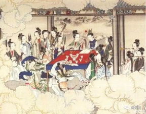 紅樓夢(mèng)里關(guān)于紫徽花的詩(shī)句