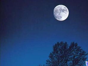 小學(xué)描寫中秋節(jié)的詩句古詩大全