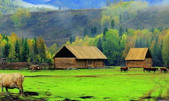 關(guān)于田園風光的詩句子